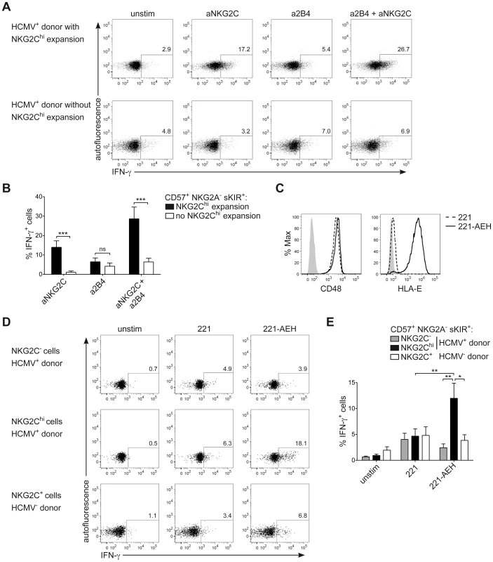 NKG2C<sup>+</sup> NK cells express IFN-γ in response to NKG2C engagement.