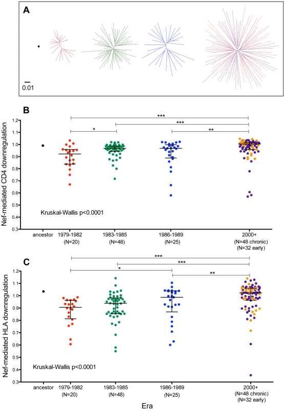 Functional implications of Nef diversification during the North American Epidemic.