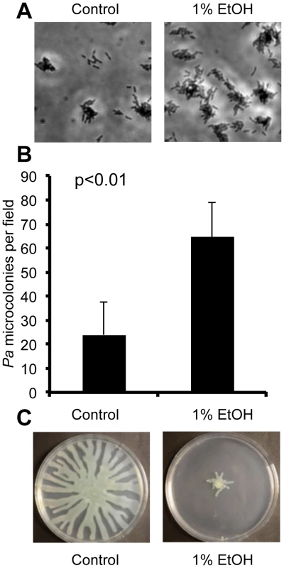 Ethanol represses swarming and stimulates biofilm formation by <i>P. aeruginosa</i>.