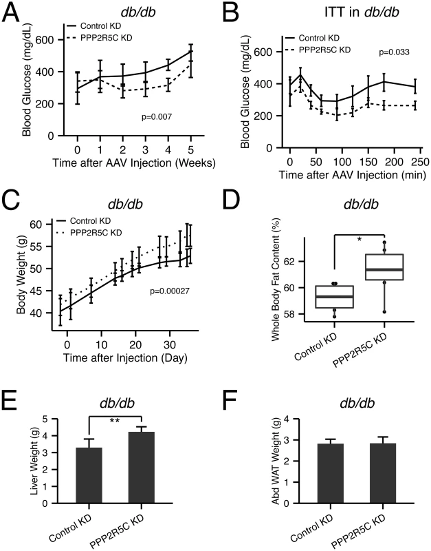 PPP2R5C HepKD in <i>db/db</i> mouse liver improves insulin sensitivity, decreases hyperglycemia, but worsens the dyslipidemia.