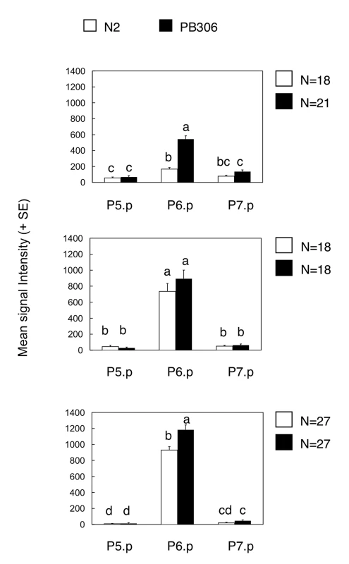 Comparison of Ras pathway activity in isolates of <i>C. elegans</i> (N2 versus PB306).