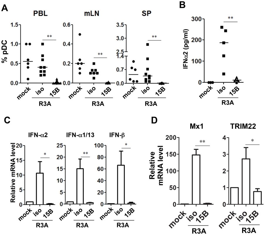 Pre-infection depletion of pDC abolishes IFN-I induction during acute HIV-1 infection in humanized mice.