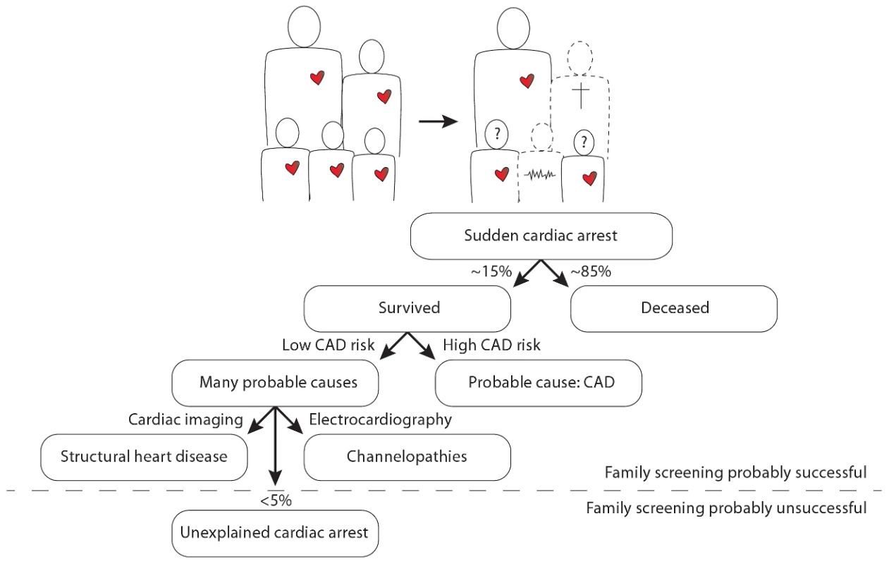 Illustration of the position of unexplained cardiac arrest among sudden cardiac arrest, focused on the occurrence of familial sudden cardiac arrest.