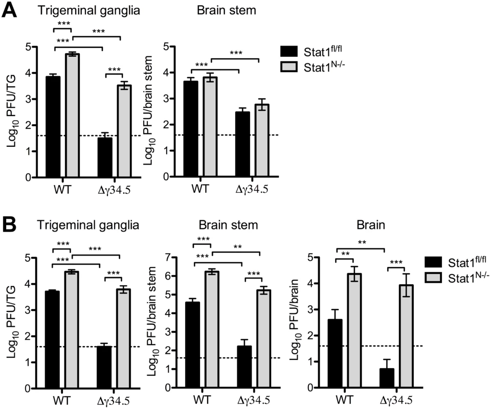 Neural STAT1 expression is critical for controlling HSV-1 replication <i>in vivo</i>.