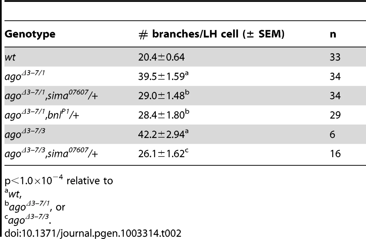 Number of tracheal terminal branches per LH cell.