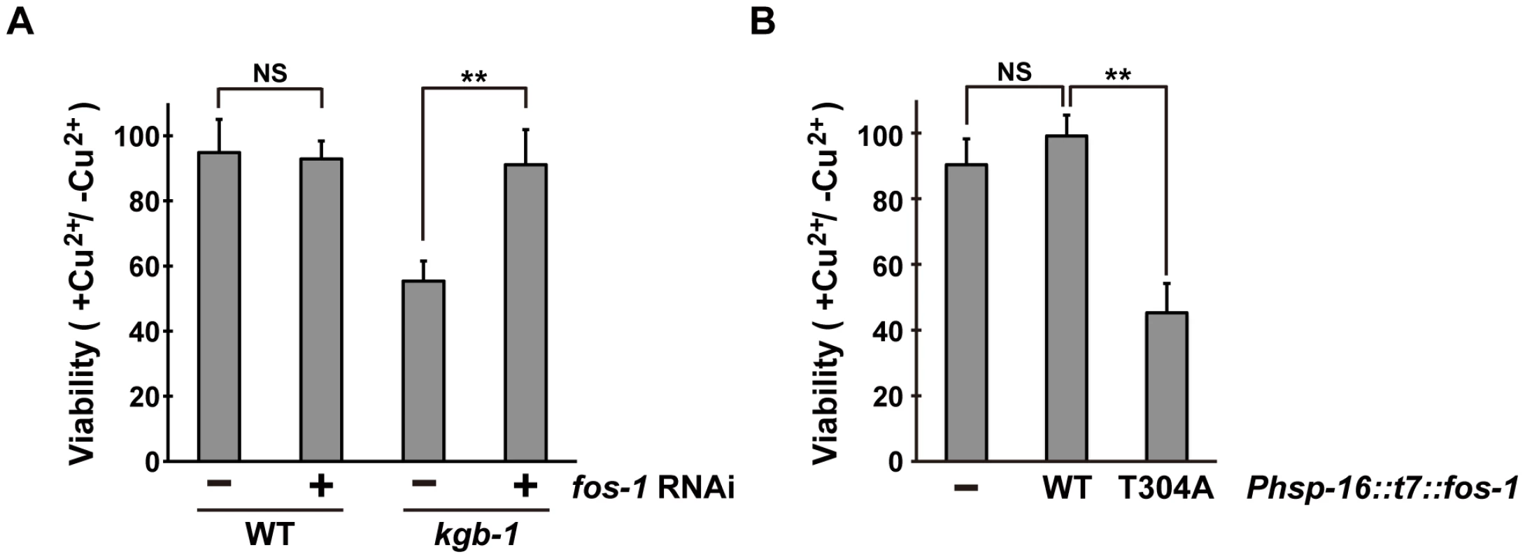 Effect of <i>fos-1</i> inhibition on stress sensitivity.