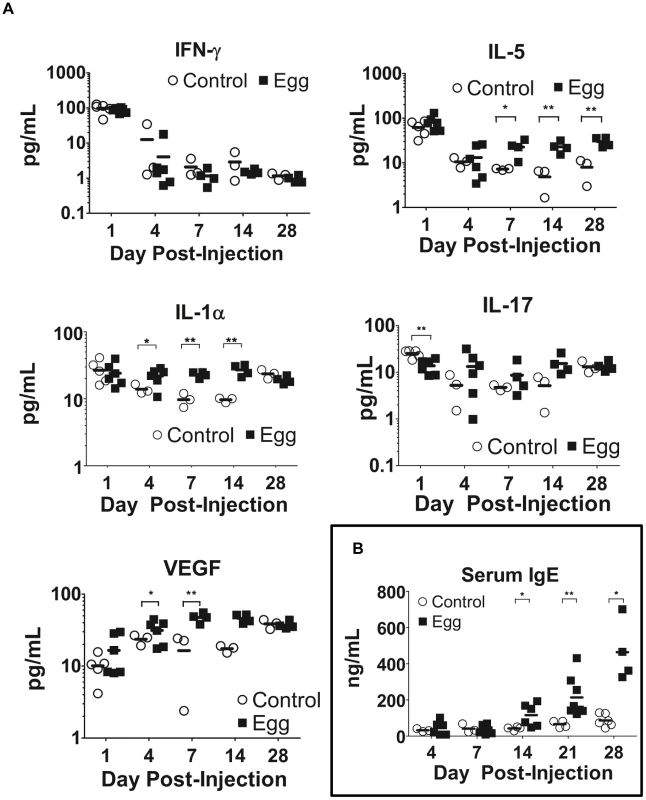<i>S. haematobium</i> egg-injected mice display systemic Type 2 cytokine and immunoglobulin responses.
