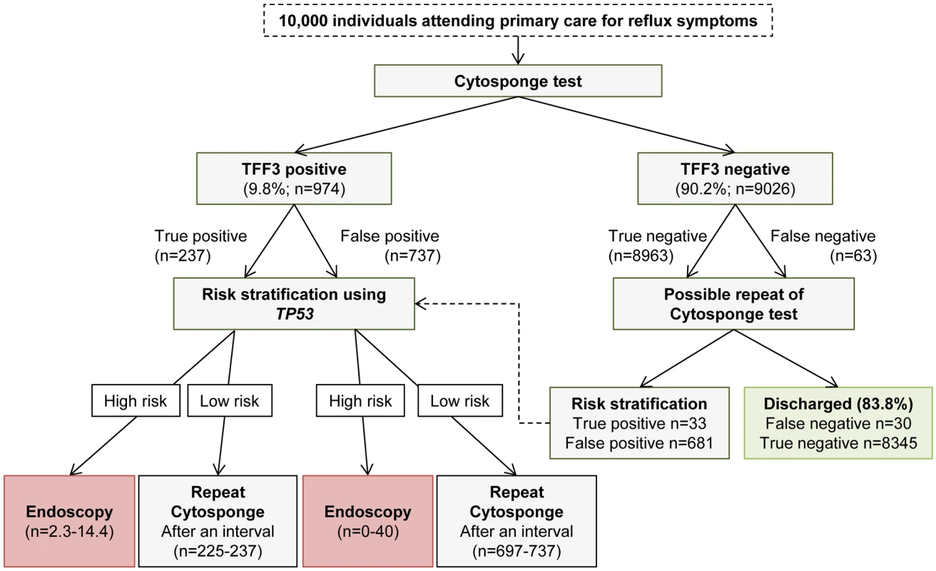 Modeling of Cytosponge-TFF3 testing and risk stratification in the primary care population with reflux symptoms.