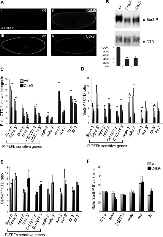 Pol II occupancy is reduced at genes affected by P-TEFb depletion.