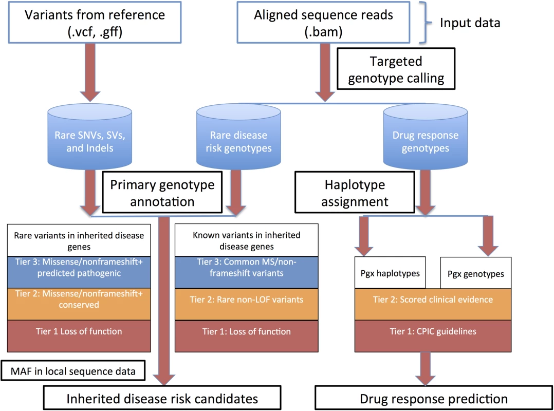 Overall heuristic for variant identification, genotype determination, initial annotation and downstream prioritization.