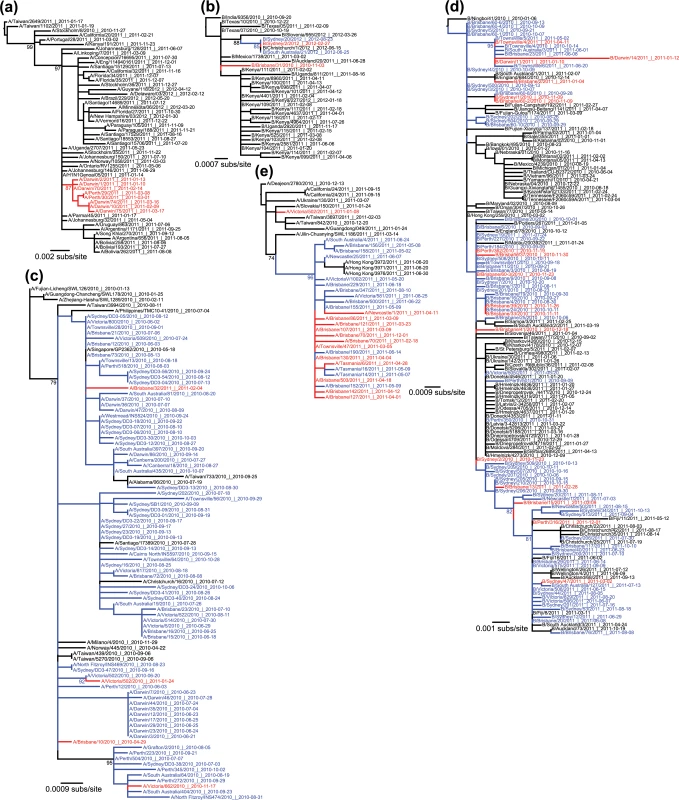 Phylogenetic trees showing a real data example of each event type.