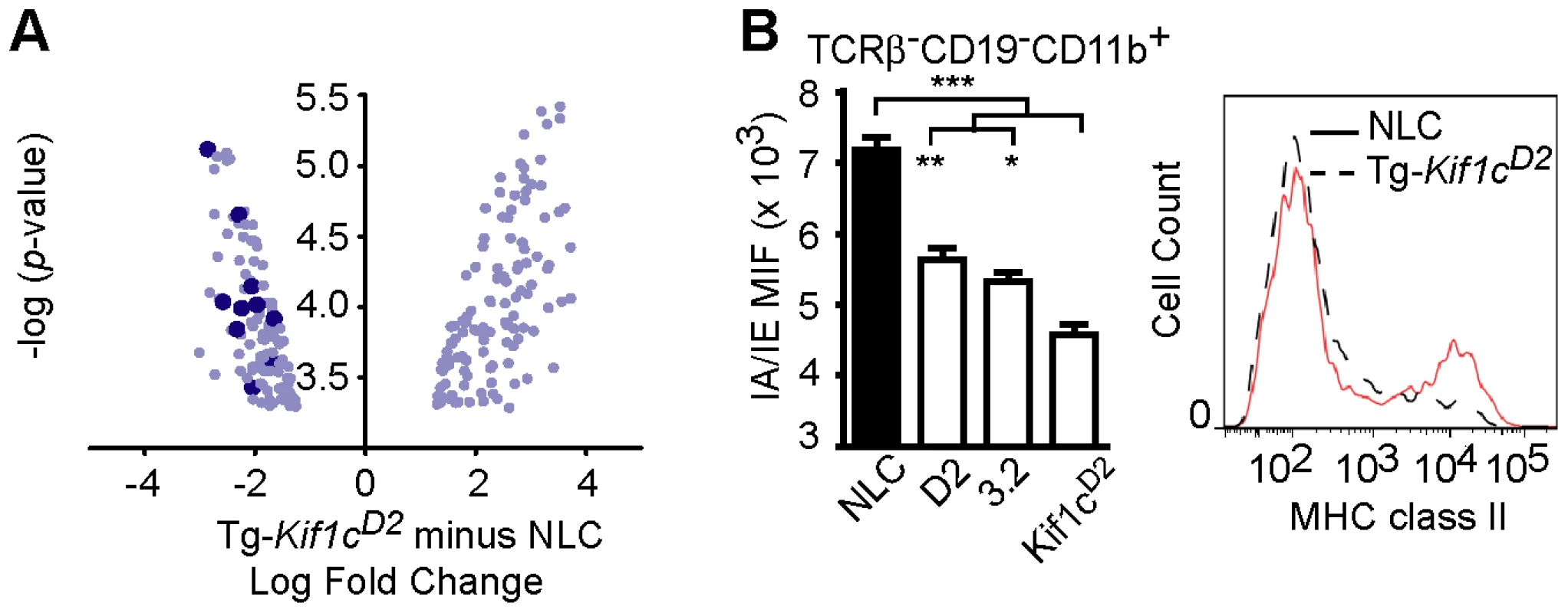 Analysis of MHC II expression on splenic CD11b<sup>+</sup> myeloid cells.
