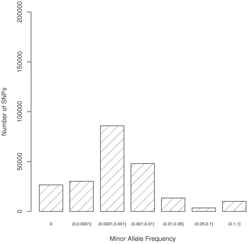 Minor allele frequency for all variants successfully genotyped using the Illumina Human Exome array.