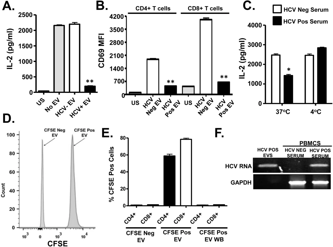 HCV serum derived extracellular vesicles (EV) inhibit T cell receptor (TCR) signaling in primary human T lymphocytes.