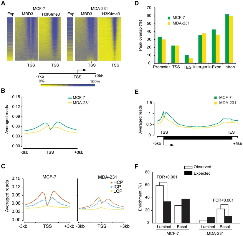 MBD3 localizes to active promoters and to other genomic regions.