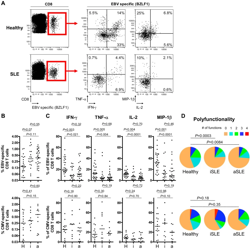Multiparametric functional assessment of EBV- and CMV-specific CD8<sup>+</sup> T cells in SLE patients.