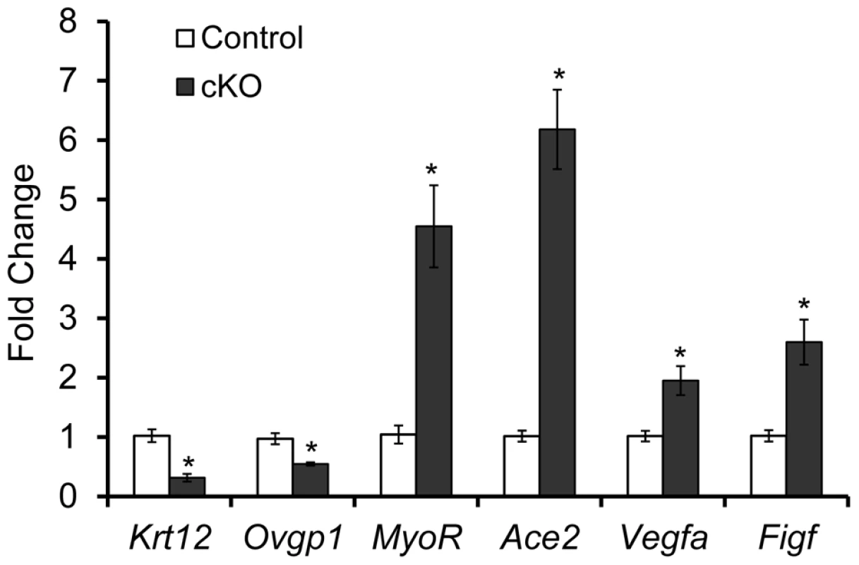 Dysregulation of genes in the oviducts from postnatal day 7 <i>Tgfbr1</i> cKO mice.