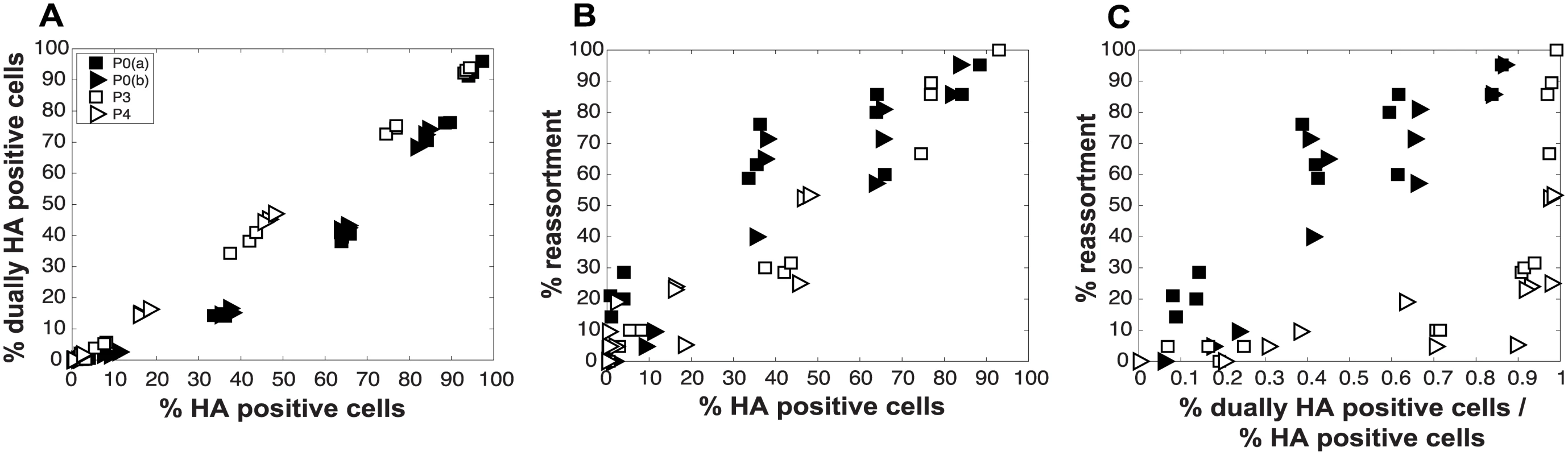 Virus populations dominated by DI particles give rise to a higher proportion of dually HA positive cells but a lower proportion of reassortant progeny viruses compared to virus populations with low DI content.