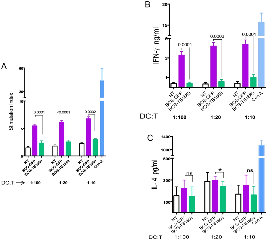 Polarization of allogeneic splenocytes by BCG-infected BMDC.