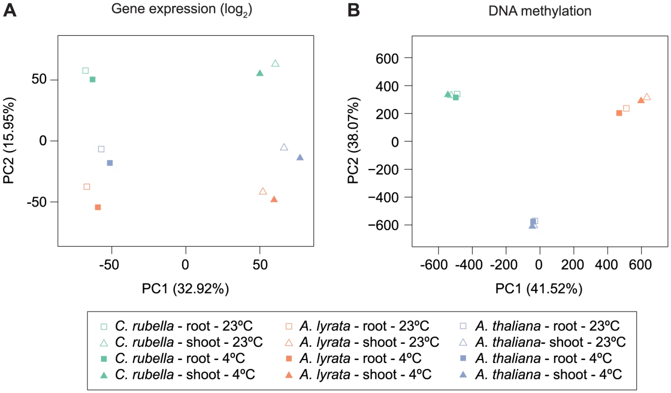 Species gene expression and mC relationships.