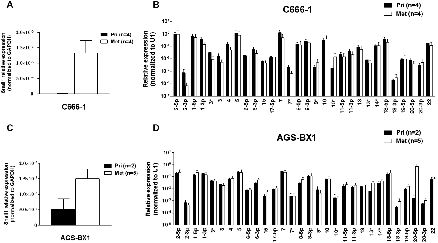 BART miRNA expression does not change in metastasis.