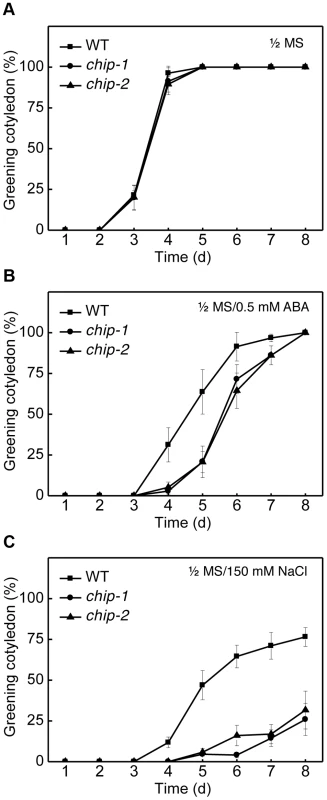 Response of the <i>chip</i> mutants to ABA (germination) and salt.