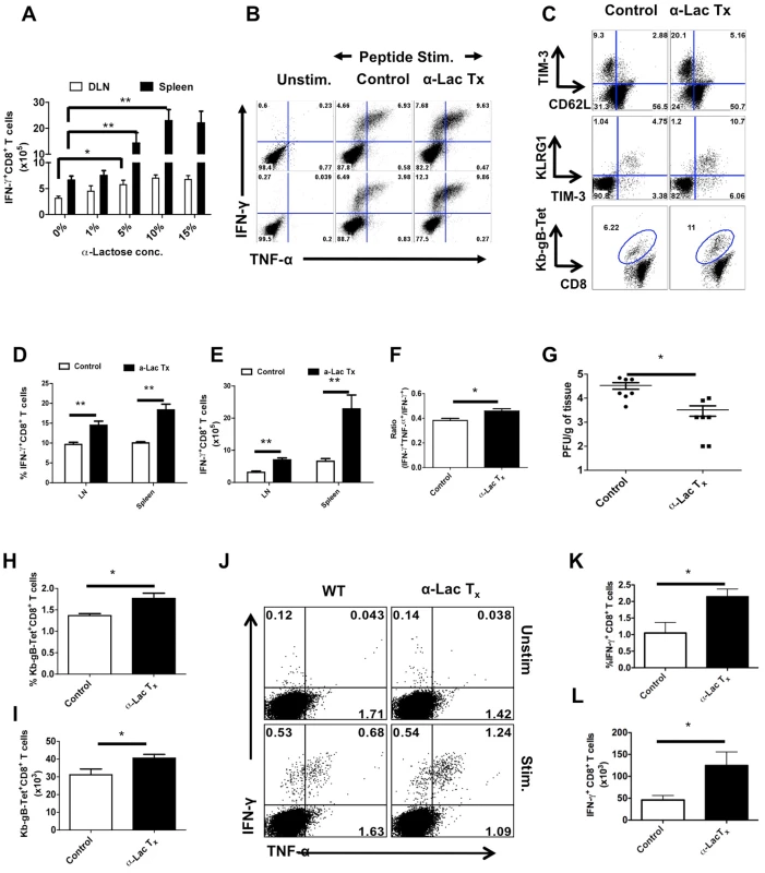 Administration of α-lactose solution in mice after HSV infection enhances the magnitude and quality of HSV-specific CD8<sup>+</sup> T cells responses.
