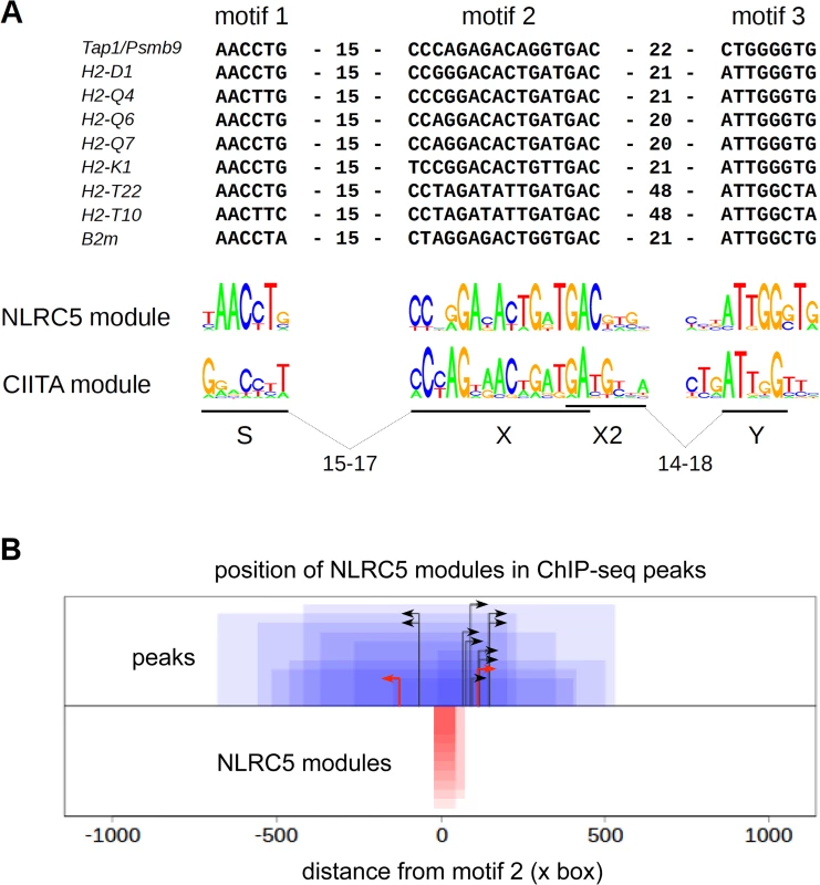 Identification of a sequence module for selective NLRC5 recruitment.