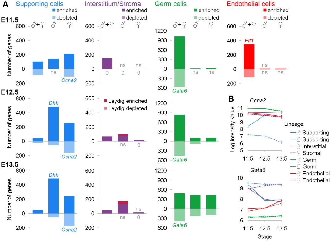 Lineage-specific enriched and depleted genes revealed distinct differentiation programs.