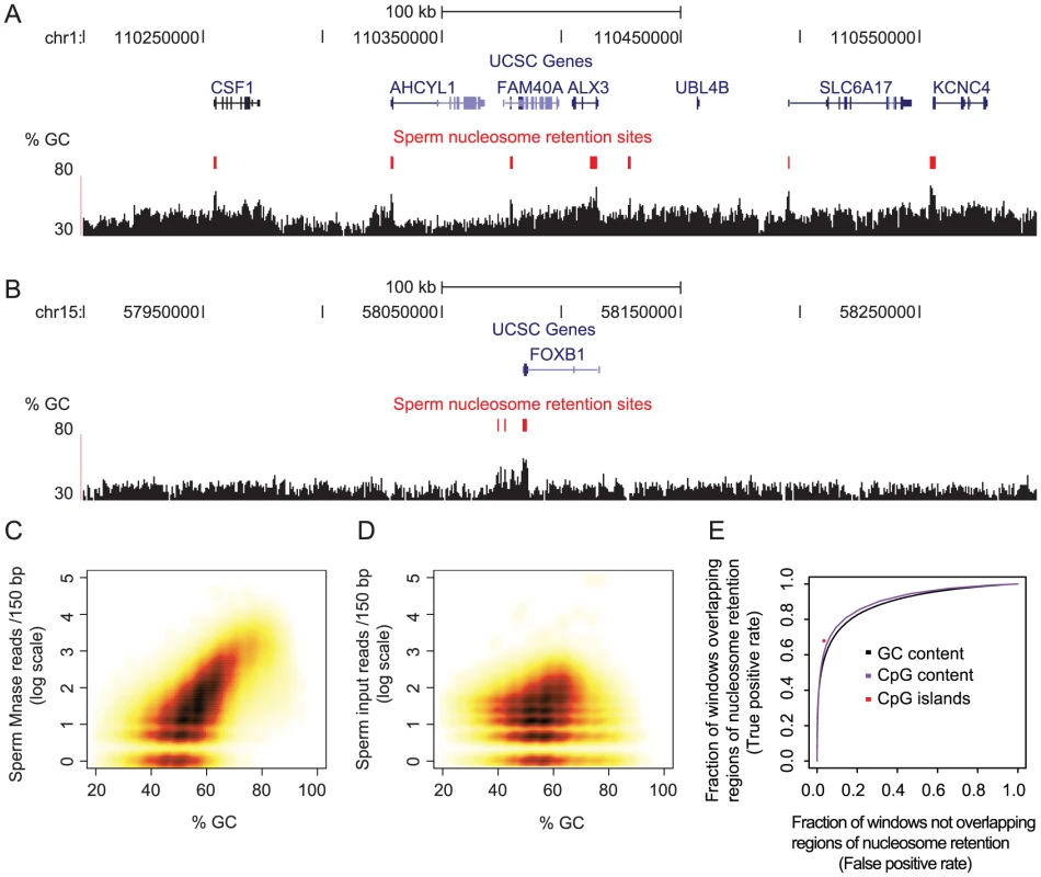 Base composition predicts sites of nucleosome retention in human sperm.