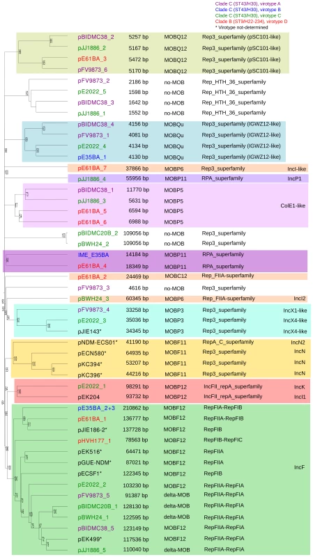Hierarchical clustering dendrogram of ST131 plasmids.