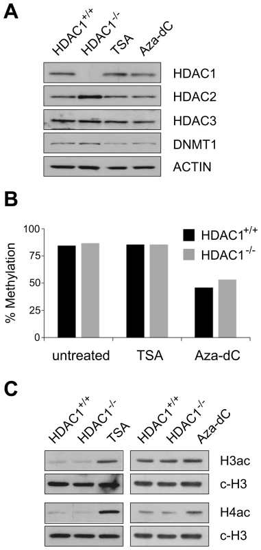 Effects of HDAC1 depletion, TSA treatment, and Aza-dC treatment on DNA–methylation and histone acetylation patterns in mouse fibroblasts.