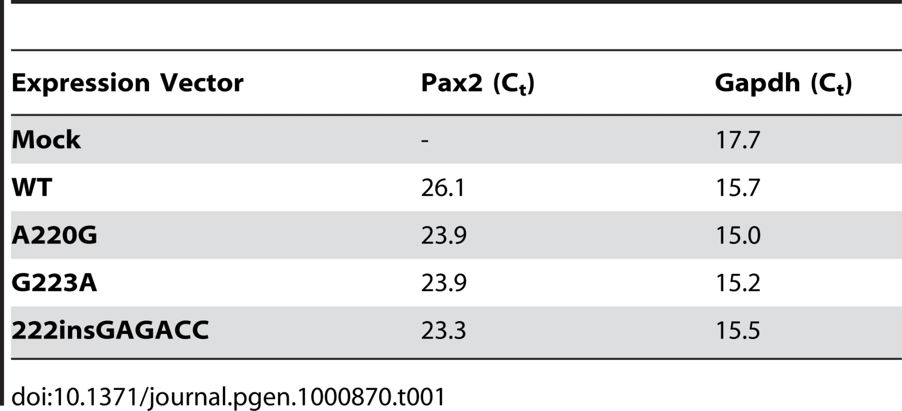 Threshold cycle (C&lt;sub&gt;t&lt;/sub&gt;) quantification of real-time, reverse-transcriptase PCR of wild-type and mutant &lt;i&gt;Pax2&lt;/i&gt; transfected NIH/3T3 cells shows no significant difference in steady-state levels of &lt;i&gt;Pax2&lt;/i&gt; mRNA relative to Gapdh.