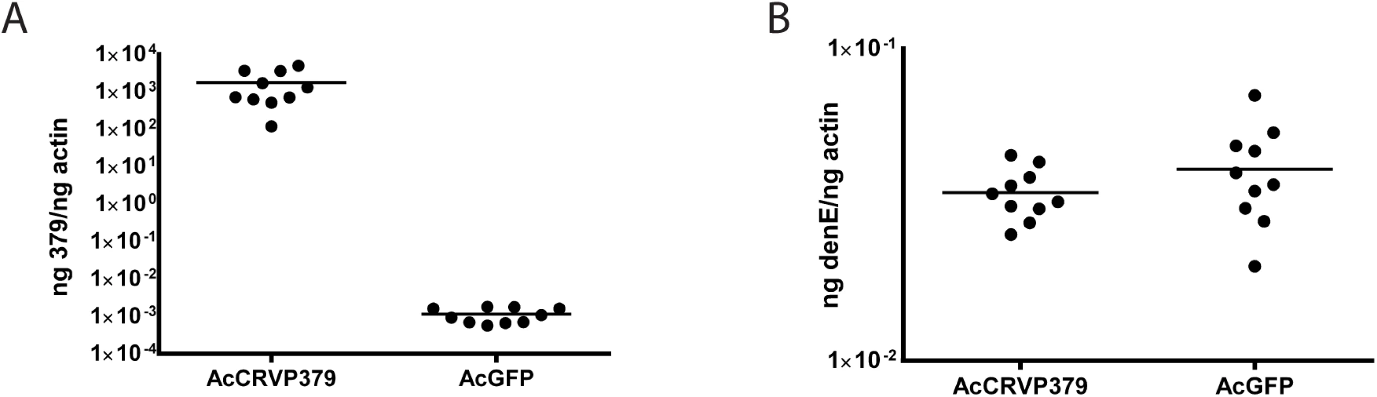 DENV infection optimally enhances CRVP379 expression.