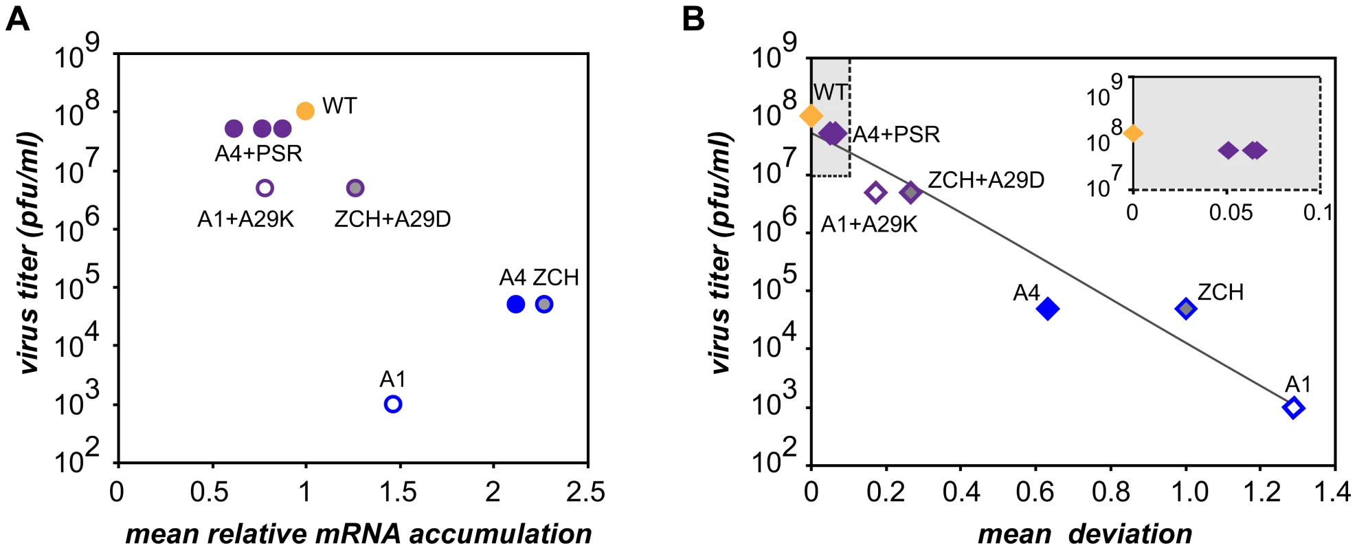 Relationship between viral mRNA accumulation profiles and infectious virus yield.