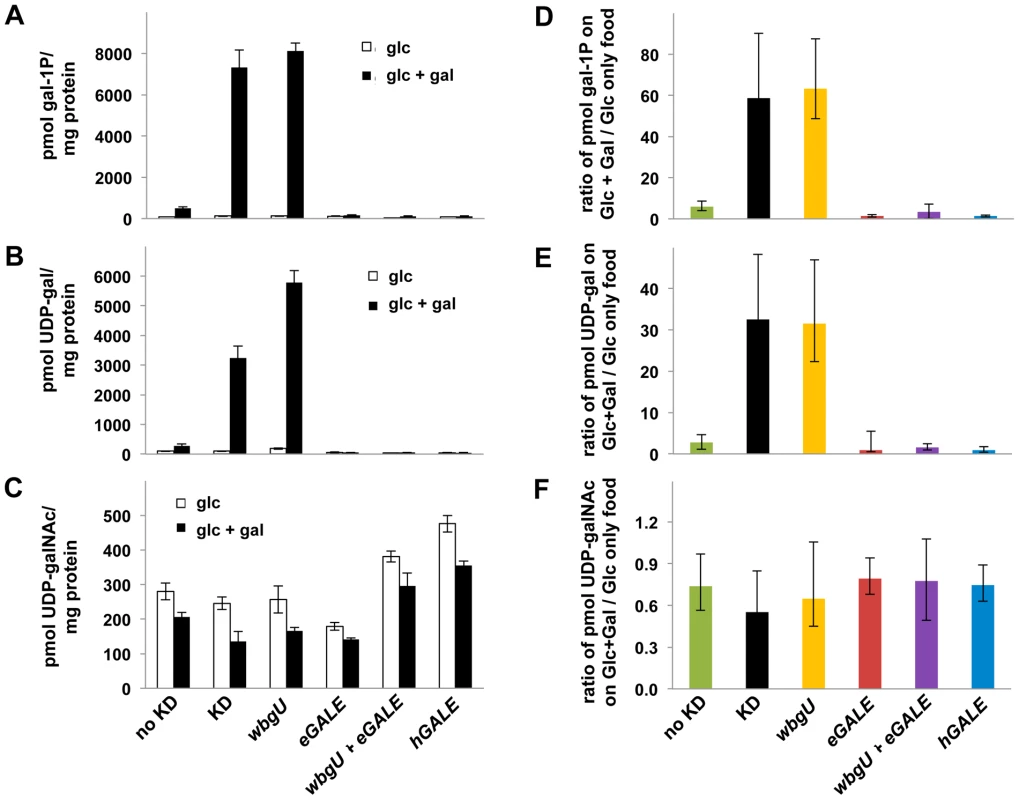 Metabolite profiles of <i>Drosophila</i> exposed to galactose.