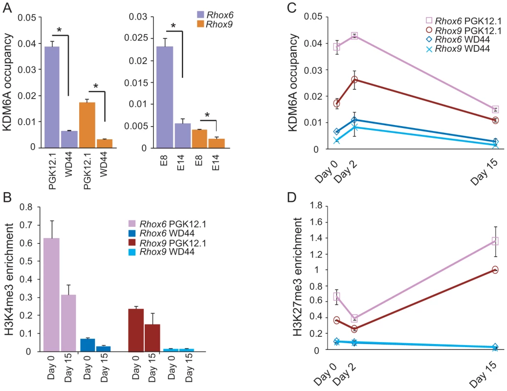 KDM6A is preferentially recruited to <i>Rhox6</i> and <i>9</i> in female ES cells.