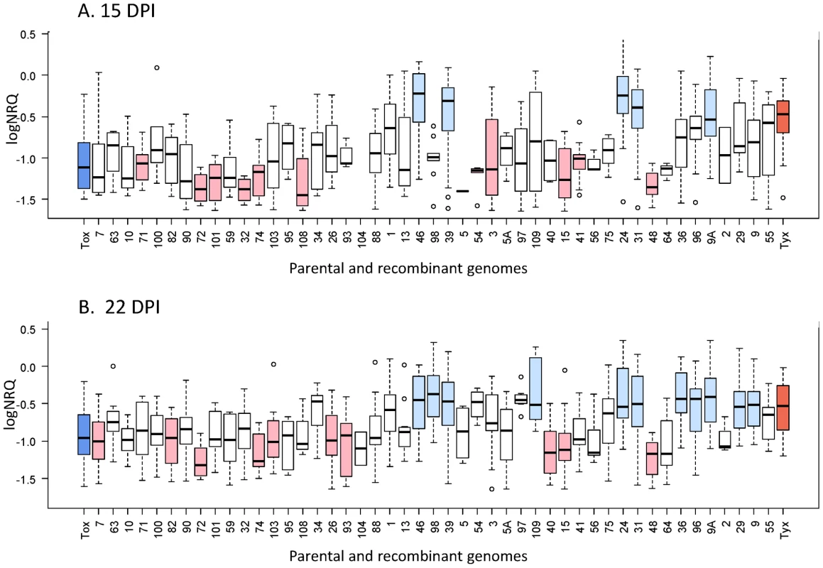 Virus accumulation within infected plants for the 47 recombinants and their two parental genomes.