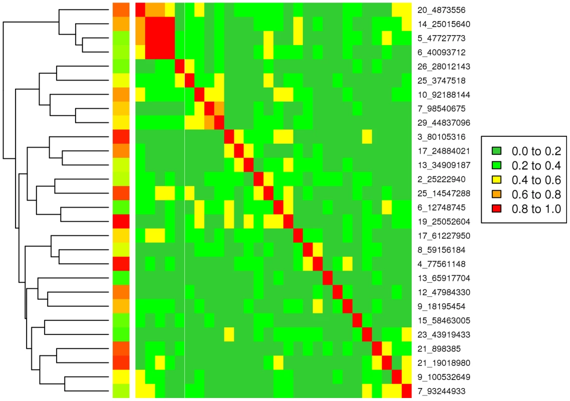 Correlation matrix between the 28 lead SNPs calculated from SNP effects on 32 traits (reordered for constructing a dendrogram).