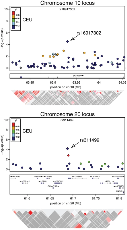 Association signals, genetic structure, and linkage disequilibrium of the novel modifier loci of <i>BRCA2</i> penetrance in the regions surrounding rs1691730 on chromosome 10 and rs311499 on chromosome 20.