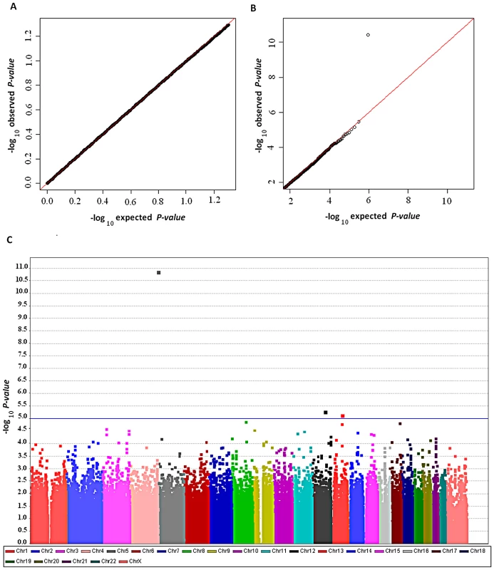 Genome-wide association results in the GELAC study.