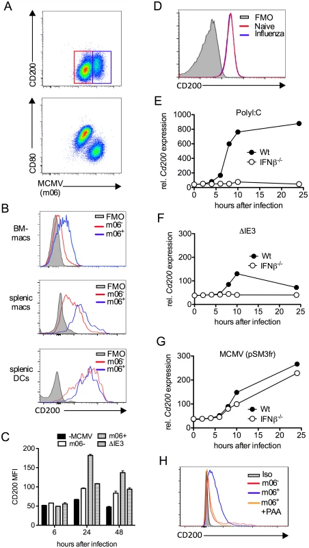 MCMV induces CD200 expression by macrophages.