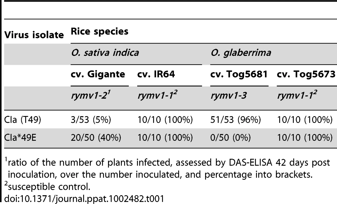 Breakdown of <i>rymv1-2</i> and <i>rymv1-3</i> rice resistant cultivars after inoculation of the RYMV isolate CIa (T49) and of the mutant CIa*49E.