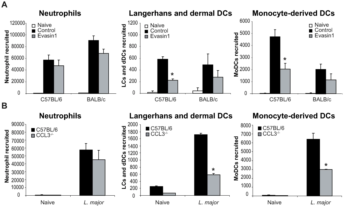 CCL3 is essential for early DC trafficking/recruitment to the site of infection following <i>L. major</i> inoculation.