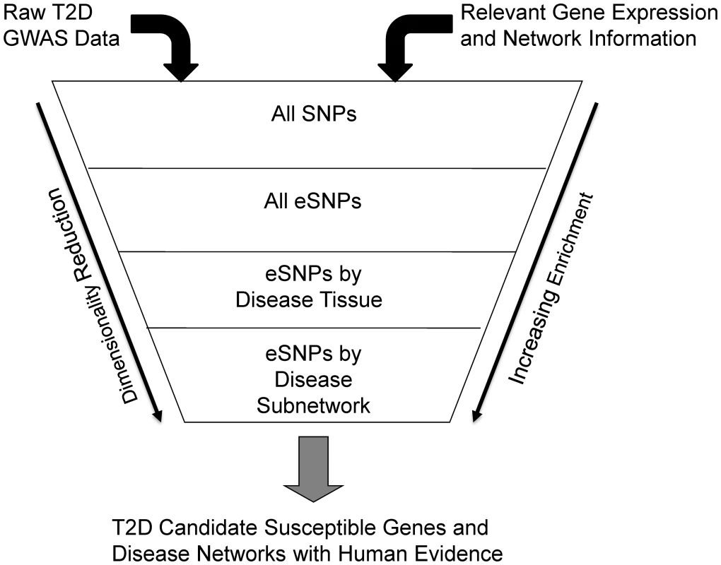 Diagram depicting the process of filtering SNPs using eSNPs and disease associated networks.