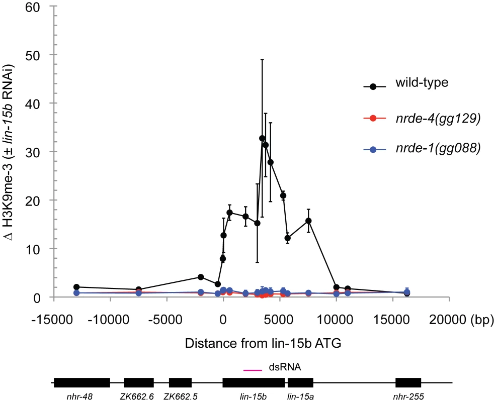 NRDE-1 is required for RNAi-directed H3K9 methylation.