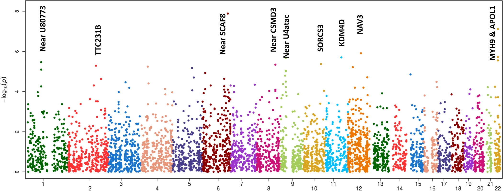 Manhattan plot of FIND GWAS meta-analysis associations across ancestries included in Discovery and Replication samples.