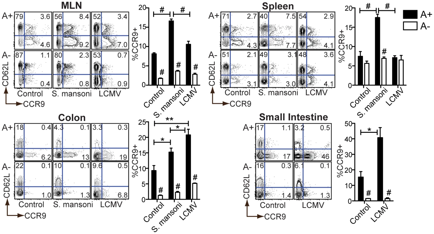 Retinoid-dependent CCR9 expression is variably induced during infection.