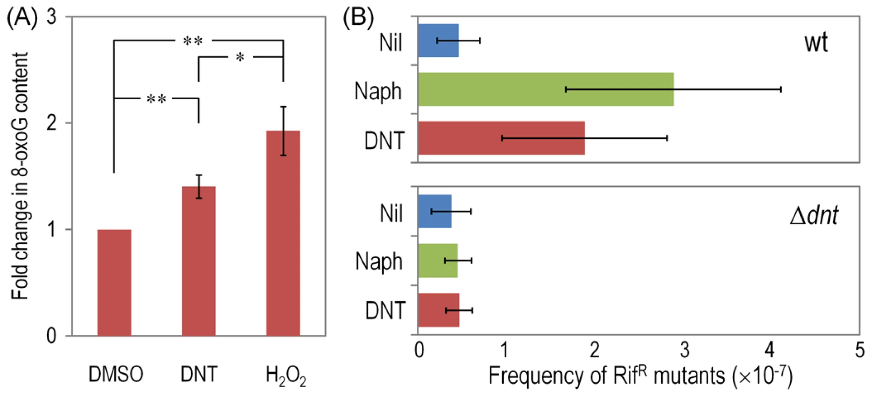 DNA damage and Rif<sup>R</sup> mutants frequency in <i>Burkholderia</i> sp. DNT facing DNT.