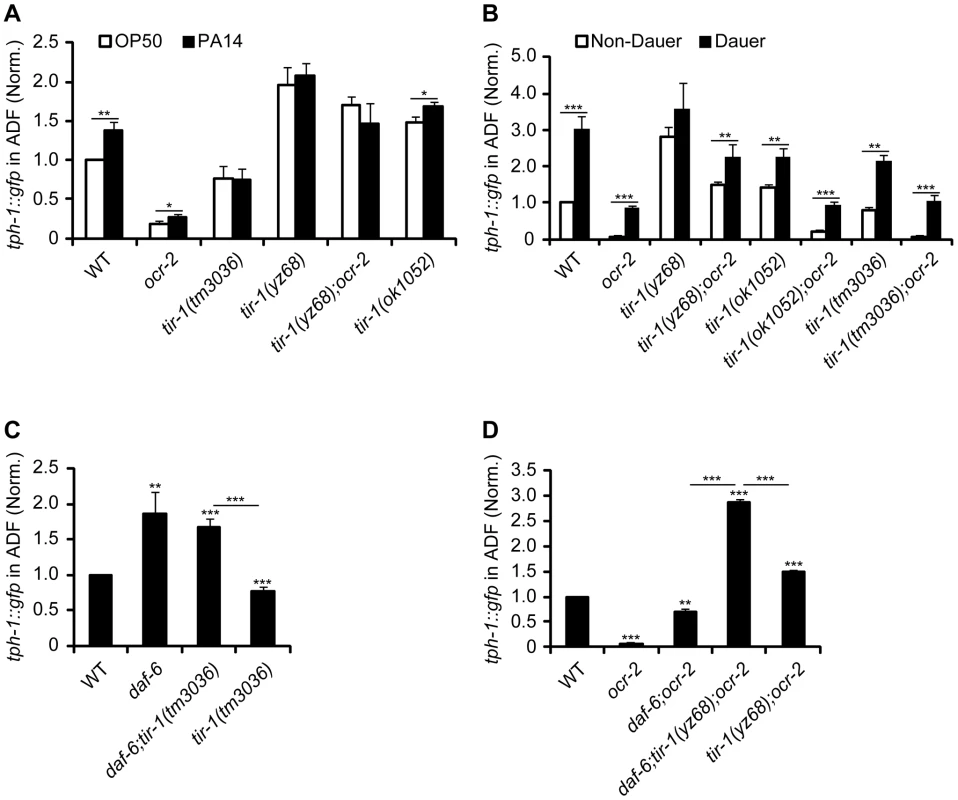 TIR-1 signaling selectively regulates <i>tph-1::gfp</i> response to pathogenic bacterial food.